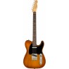 Fender American Performer Telecaster RW-HB