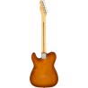 Fender American Performer Telecaster RW-HB