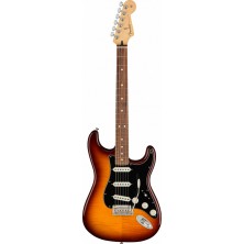 Fender Player Stratocaster Plus Top Pf-Tbs