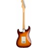 Fender Player Stratocaster Plus Top Pf-Tbs