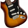 Fender Player Stratocaster Plus Top Pf-Tbs