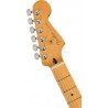 Fender Player Plus Stratocaster Mn-Ts