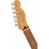 Fender Player Plus Telecaster Mn-Svs