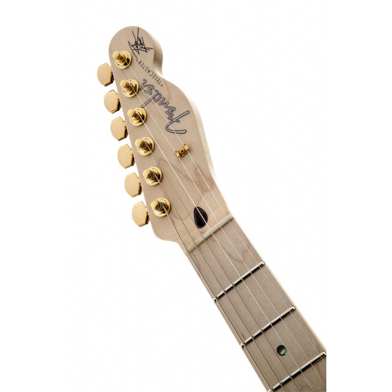 Guitarra Eléctrica Sólida Fender Richie Kotzen Tl Mn-Bs