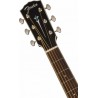 Fender PO-220E Paramount Aged Cognac Burst
