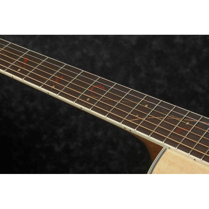 Guitarra Electroacústica Ibanez AE205JR-OPN