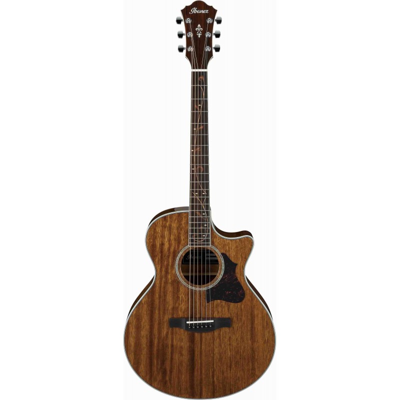 Guitarra Electroacústica Ibanez AE245-Nt
