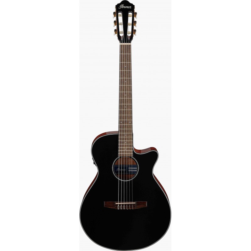 Guitarra Clásica Electrificada Ibanez AEG50N-NT