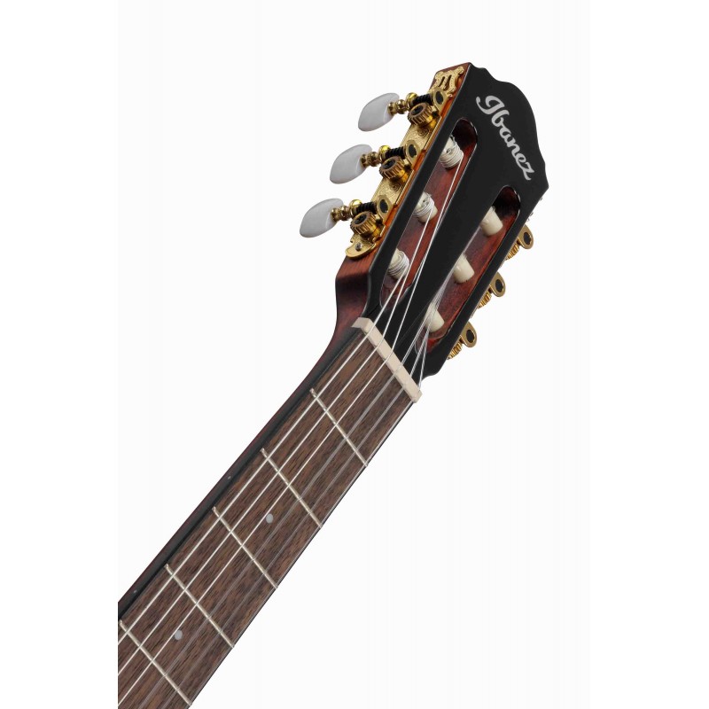 Guitarra Clásica Electrificada Ibanez AEG50N-NT