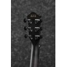 Ibanez AEWC400-TKS