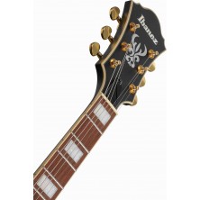 Guitarra Eléctrica Semisólida Ibanez Af75g-Bkf