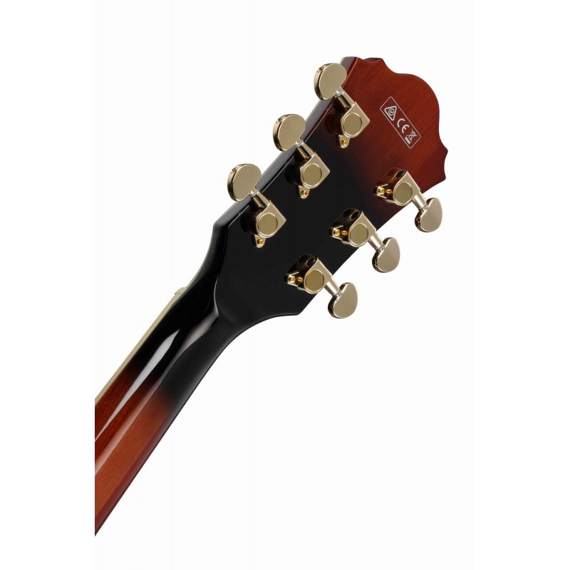 Guitarra Eléctrica Semisólida Ibanez AG95QA-DBS