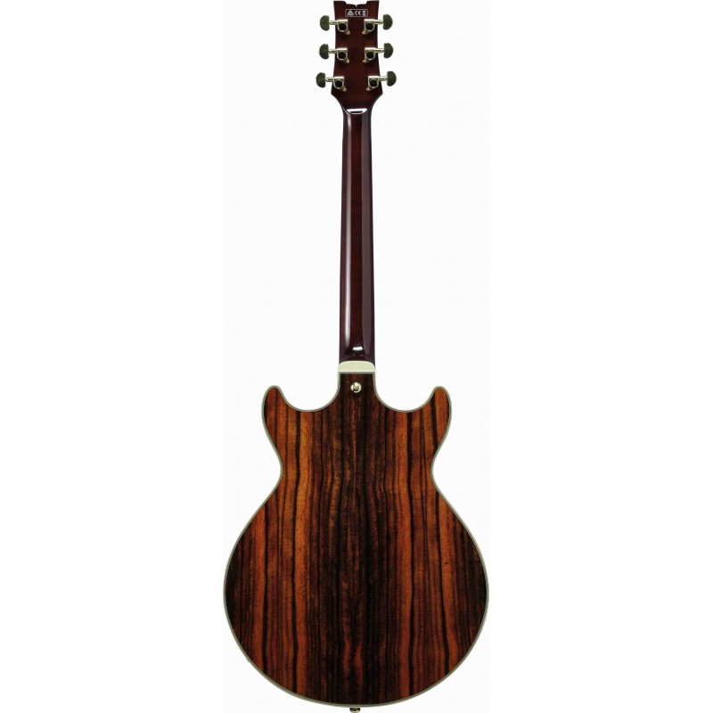 Guitarra Eléctrica Semisólida Ibanez AM93ME-NT