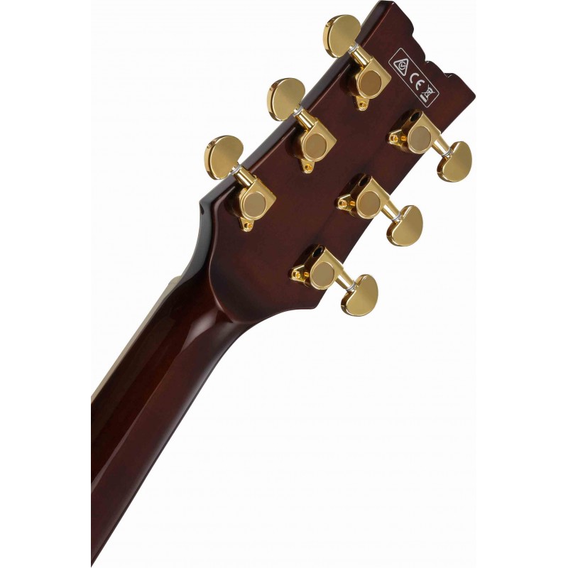 Guitarra Eléctrica Semisólida Ibanez AM93ME-NT