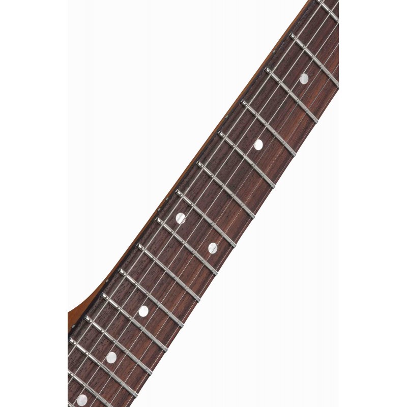Guitarra Eléctrica Sólida Ibanez AZ2204N-AWD