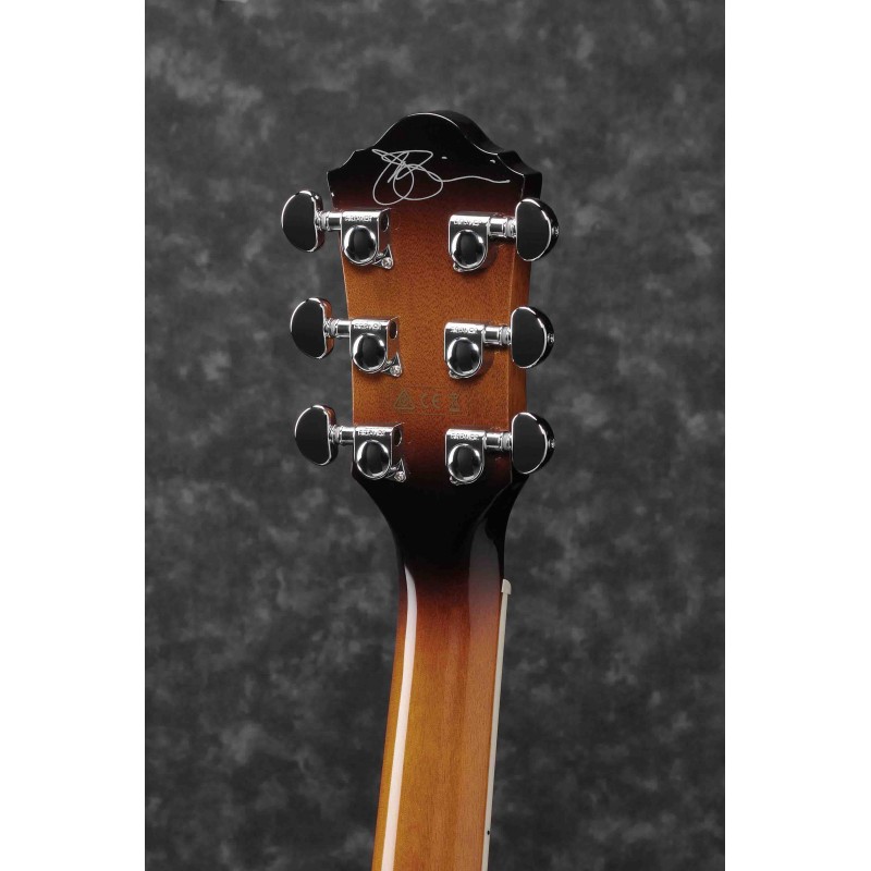 Guitarra Electroacústica Ibanez Jsa20-Vb