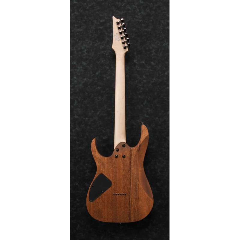 Guitarra Eléctrica Sólida Ibanez Rg421-Mol