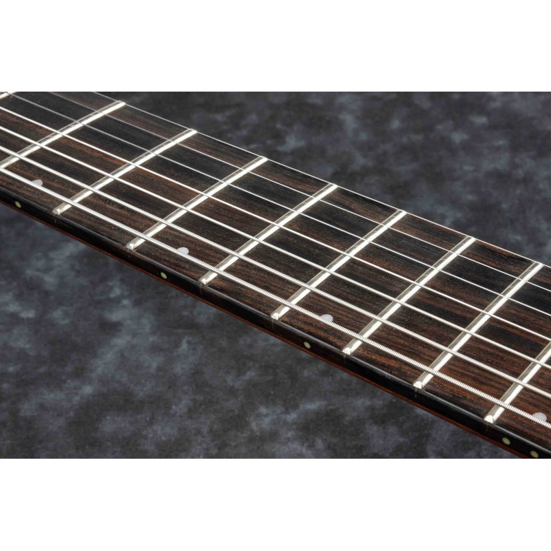 Guitarra Eléctrica 7 Cuerdas Ibanez RGD71ALMS-BAM