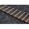 Ibanez RGD71ALMS-BAM