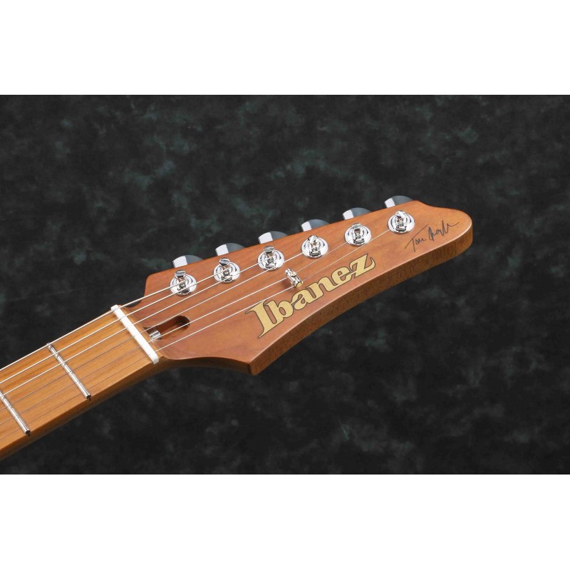 Guitarra Eléctrica Sólida Ibanez TQM1-NT
