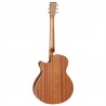 Tanglewood TW9