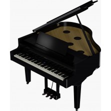 Piano Digital Roland GP-9 PE Negro Pulido