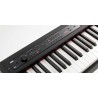 Korg D1 plano detalle