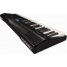 Roland Go:Piano 61P back lateral