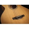 Takamine Gb30Ce-Nat detalle