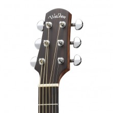 Guitarra Electro Acústica Walden WAD-551EW
