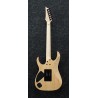 Ibanez RG652AHM-NGB back