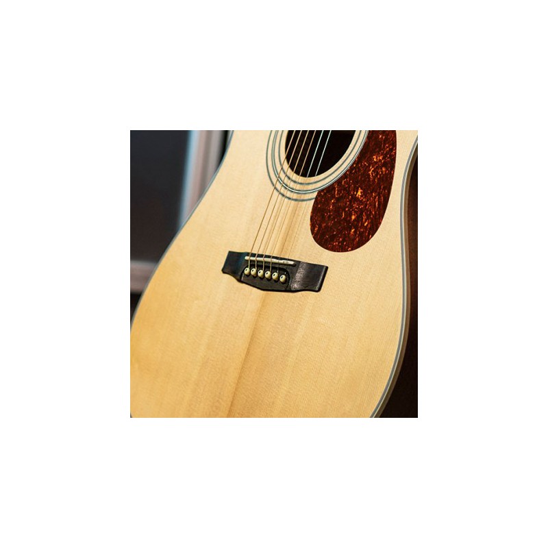 Guitarra Acústica Cort EARTH70 Br