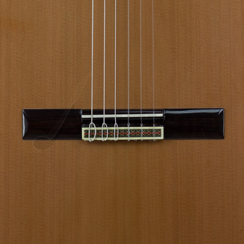 Guitarra Clásica Paco Castillo 205