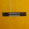 Admira Triana ECF Fishman Cutaway puente