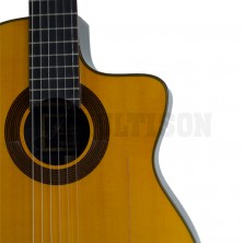 Guitarra Flamenca Electrificada JOSE GOMEZ F90RS-EQ