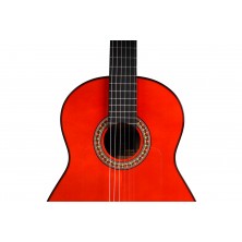 Guitarra Flamenca Antonio Toledo ATF-17BR