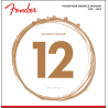 Fender Phosphor Bronze Acoustic 60L 12-53