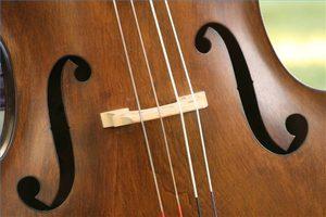 Cuerdas de violonchelo