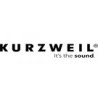 Kurzweil