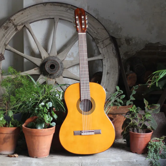 Guitarra clásica electrificada Admira Juanita en un patio