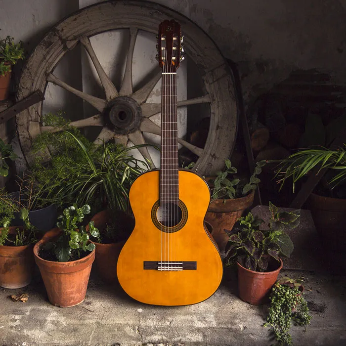 Guitarra Admira Paloma en un patio