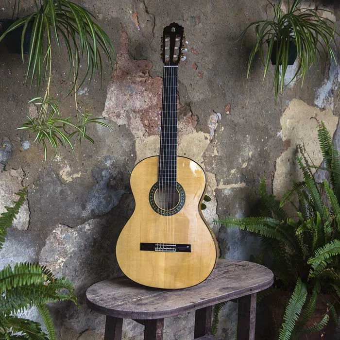Guitarra Alhambra 5f con golpeador en patio