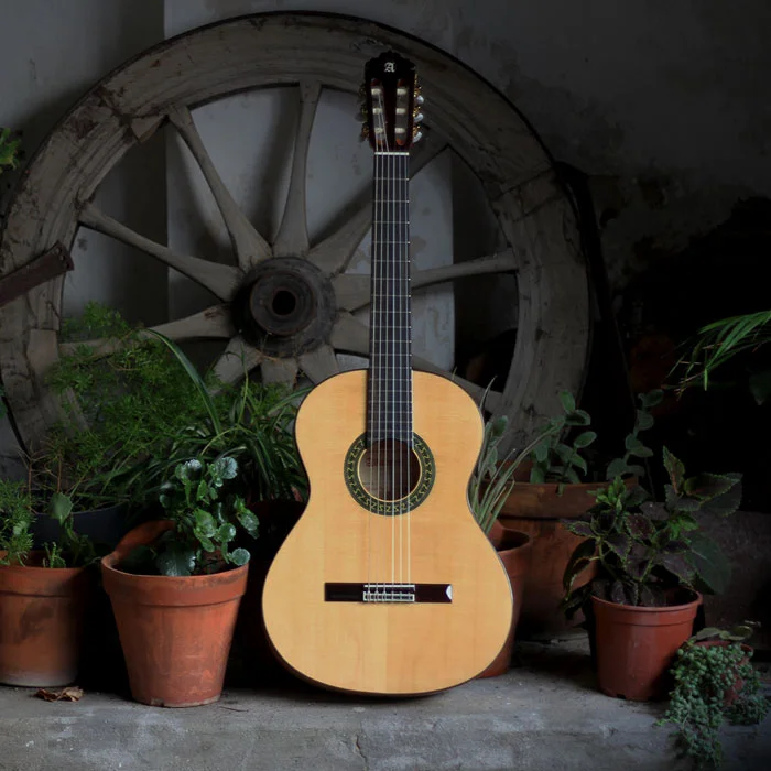 Guitarra Alhambra 5f con golpeador en un patio