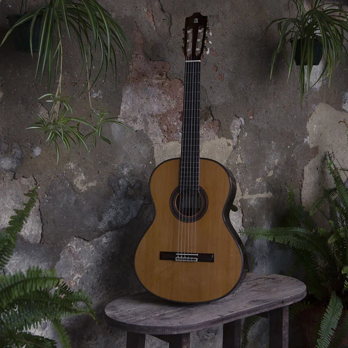 Guitarra Alhambra 7P Classic en patio