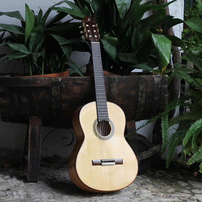 Guitarra Flamenca Paco Castillo 214 F en un patio