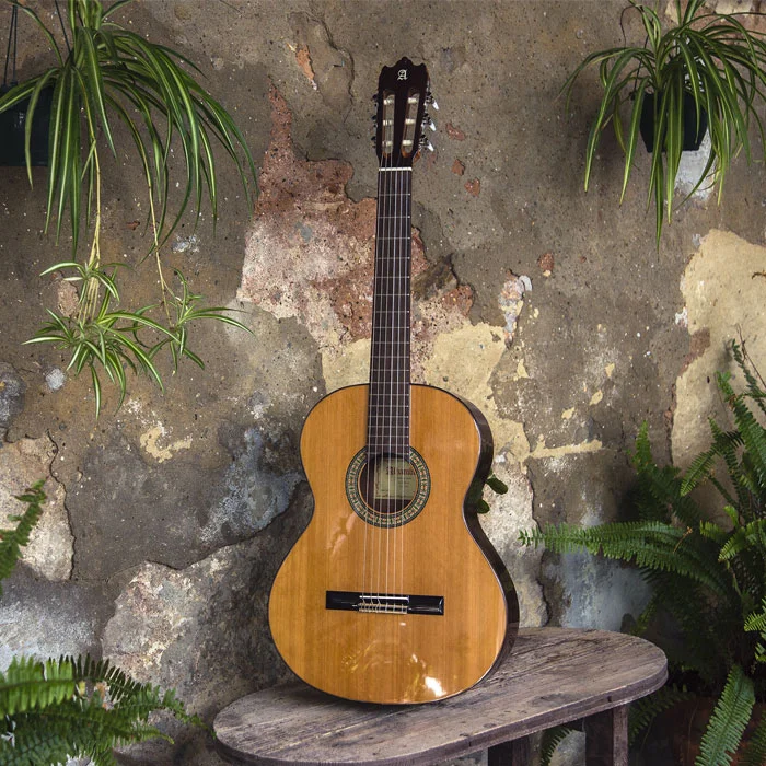 Guitarra Alhambra 3C en un patio