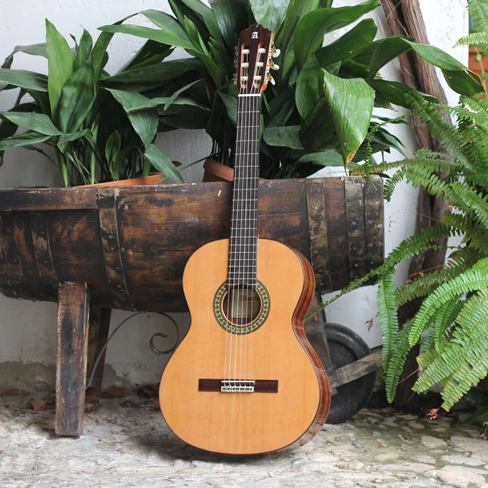 Guitarra Alhambra 5P