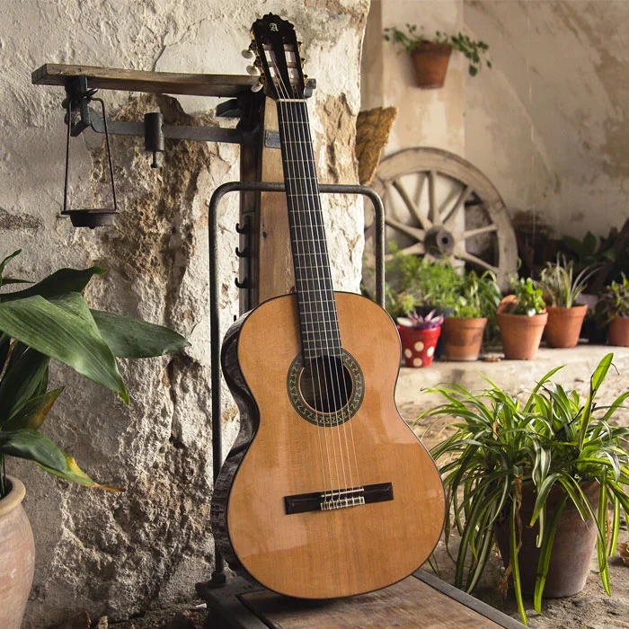 Guitarra Alhambra 5P