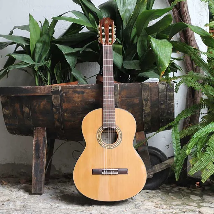 Guitarra Clásica Admira A6 en un patio